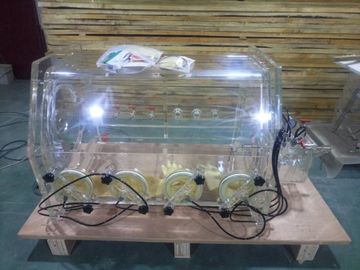 Lityum İyon Piller İçin Pil Laboratuvarı Eldiven Kutusu -0.1MPA&#39;ya Kadar Düşük